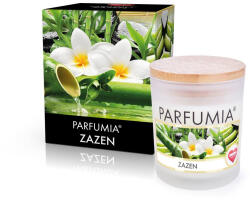  ZAZEN | lumânare parfumată cu soia | PARFUMIA® | 250 ml