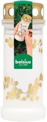  Capac Bolsius 220g 70h. Inima - mesaj