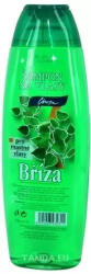 Chopa Șampon 500ml Mesteacăn