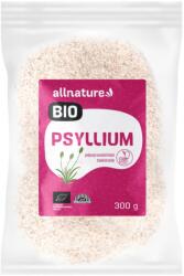  Psyllium Allnature BIO 300 g