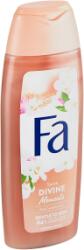 Fa SG 250ml Momente Divine