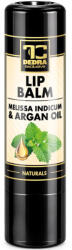  BALSAM DE BUZE | balsam de buze cu melisă și ulei de argan | îngrijire naturală cu uleiuri vegetale | 4, 2 g