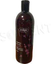 Ziaja Șampon 500ml cu lavandă pentru familie