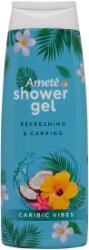 SOLVENT všechny privatky PKS Ameté SG 250ml Caribic Vibes
