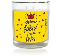  Lumânare Ryor - PuraVida cu parfum de liliac DIVINE - 210 g