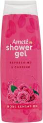 SOLVENT všechny privatky PKS Ameté SG 250ml Rose Sensation