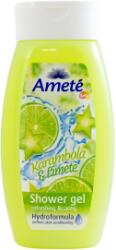 Ameté SG 250ml Cremă Carambolă