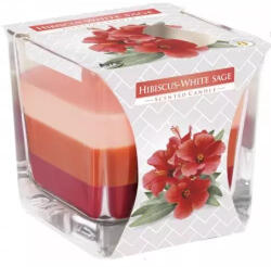 BISPOL Lumânare hibiscus salvie albă snk80-356 170g