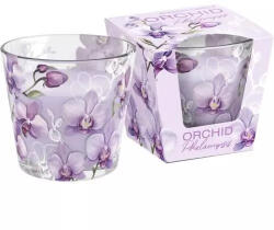 Bartek Candles Lumânări orhidee phalaenopsis 115g