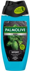Colgate - Palmolive Palmolive SG 500ml BĂRBAȚI Revitalizant sport