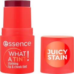 Essence Stick de buze și obraji Essence, CE NUANȚĂ! 20