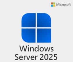 Microsoft Microsoft Windows Server Standard 2025 Downgrade to 2022 (634-CVFB)