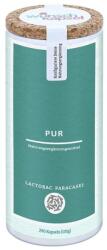 Wunschkapsel Lactobacillus paracasei Probiotic, 6 miliarde CFU, 290 capsule, Wunschkapsel