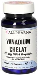 Gall Pharma Chelat de vanadiu, 25 g, 30 capsule, Gall Pharma