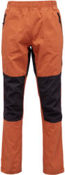 Willard Gulliver (pml1w-25203-d)