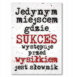 SteelPoster Fém poszter Siker és szótár Tábla Tepsi 22 x 31 cm +ajándék (plakat dekoracyjny, metalowa tablica, szyld)