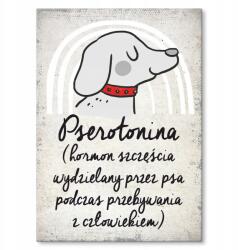 SteelPoster Fém poszter pserotonin Tábla Tepsi 42 x 59, 4 cm +ajándék (plakat dekoracyjny, metalowa tablica, szyld)