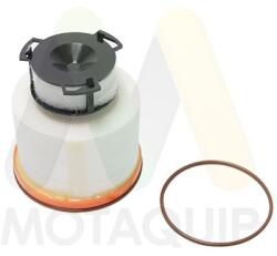 MOTAQUIP Filtru combustibil MOTAQUIP LVFF835 (LVFF835) - fixbox