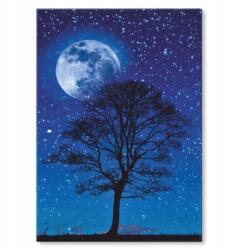 SteelPoster Fém poszter Tree and moon Tábla Tepsi 22 x 31 cm +ajándék (plakat dekoracyjny, metalowa tablica, szyld)