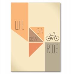 SteelPoster Fém poszter Life is a crazy ride Tábla 30 x 42 cm +ajándék (plakat dekoracyjny, metalowa tablica, szyld)