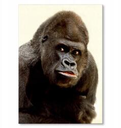 SteelPoster Fém poszter Gorilla Tábla 30 x 42 cm +ajándék (plakat dekoracyjny, metalowa tablica, szyld)