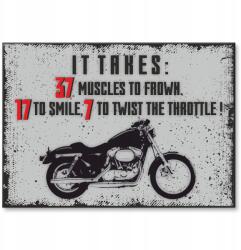 SteelPoster Fém poszter motorcycle takes Tábla 30 x 42 cm +ajándék (plakat dekoracyjny, metalowa tablica, szyld)