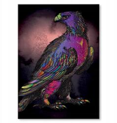 SteelPoster Fém poszter Színes sas Tábla Tepsi 42 x 59, 4 cm +ajándék (plakat dekoracyjny, metalowa tablica, szyld)