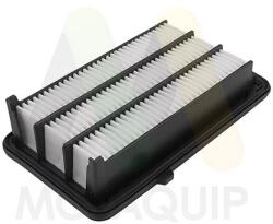 MOTAQUIP Filtru aer MOTAQUIP LVFA1740 (LVFA1740) - fixbox