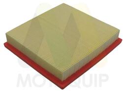 MOTAQUIP Filtru aer MOTAQUIP LVFA1750 (LVFA1750) - fixbox