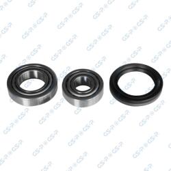 GSP Set rulment roata GSP GK0596 (GK0596) - fixbox