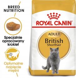 Royal Canin Brit rövidszőrű Felnőtt száraztáp felnőtt macskák részére