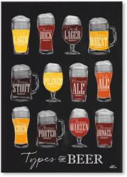 SteelPoster Fém poszter Types of beer 2 Tábla Tepsi 22 x 31 cm +ajándék (plakat dekoracyjny, metalowa tablica, szyld)