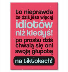 SteelPoster Fém poszter nem igaz Tábla 30 x 42 cm +ajándék (plakat dekoracyjny, metalowa tablica, szyld)