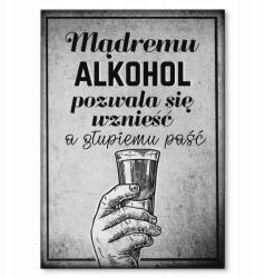 SteelPoster Fém poszter Bolond, okos és alkoholos Tábla Tepsi 22 x 31 cm +ajándék (plakat dekoracyjny, metalowa tablica, szyld)