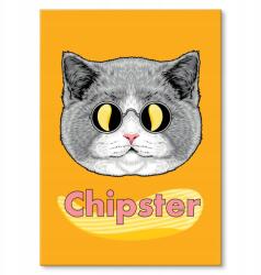 SteelPoster Fém poszter Chipster Tábla Tepsi 22 x 31 cm +ajándék (plakat dekoracyjny, metalowa tablica, szyld)