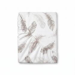Kvalitex Cearșaf de pat cu elastic, din bumbac Kvalitex Shelby, alb, 140 x 200 cm, 140 x 200 cm