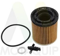 MOTAQUIP Filtru ulei MOTAQUIP LVFL877 (LVFL877) - automobilus