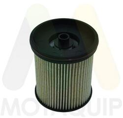 MOTAQUIP filtru combustibil MOTAQUIP LVFF811 (LVFF811) - automobilus