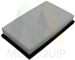 MOTAQUIP Filtru aer MOTAQUIP LVFA1771 (LVFA1771) - automobilus