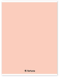 Fortuna Füzet vonalas FORTUNA Monocolor A/4 32 lapos 81-32 pasztell barack (01.02104) - tonerpiac