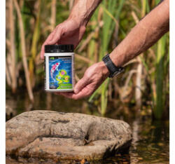 Home Pond Bacter Pond 500g/50m3/ tóbaktérium 6db karton (230383---8594187350031)