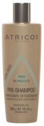  Șampon Detoxifiant Pre-Tratament pentru Curățarea Profundă a Părului și Scalpului Atricos Purifying Detox, 300 ml