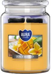 LCA Lumanare Parfumata in Borcan, Parfum Mango (LCA-SND99-475)