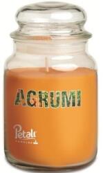 LCA Lumanare Parfumata, Borcan Mare, Parfum Citrice (LCA-LPJ-BIG-362-AGR)