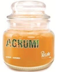 LCA Lumanare Parfumata, Borcan Mic, Parfum Citrice (LCA-LPJ-SML-362-AGR)