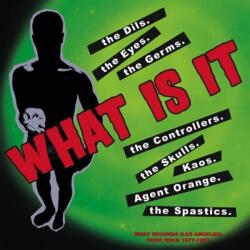 Various Artists - What Is It - What Records Punk Rock 1977-1983 (10") (0022871700711)