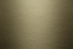 James Hardie Lambriu exterior din fibrociment James Hardie Heathered Moss Smooth (JH-HEATHERED MOSS)