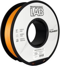 Professional Lab FG-P71-E1, filament 3D, PLA, 1, 75mm, 1000g, Portocaliu (Orange) (FG-P71-E1)