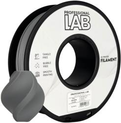 Professional Lab FG-P49-E1, filament 3D, PLA+, 1, 75mm, 1000g, Argintiu (Silver) (FG-P49-E1)