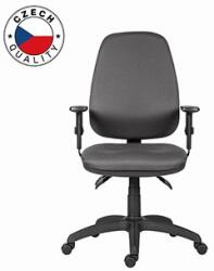 Powerton ERGO ANNA Scaun ergonomic de birou, Gri (WPCHANN-G)